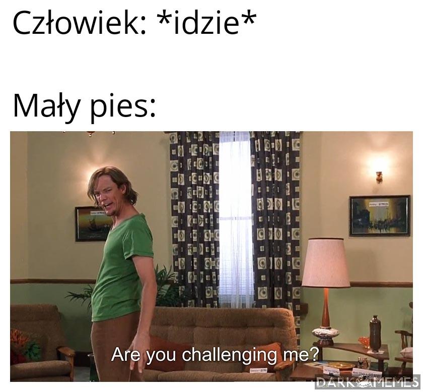Poszczekam