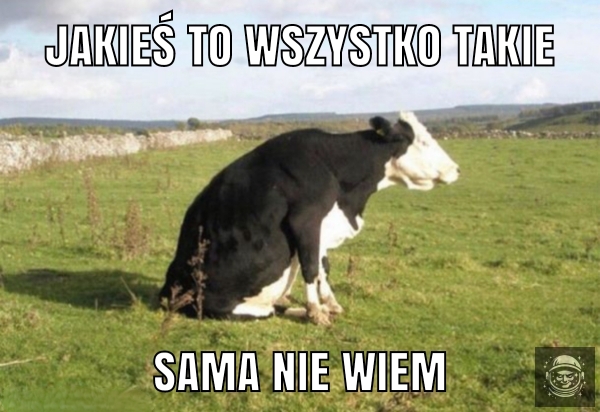 Na pastwisku się nie pierdolą.