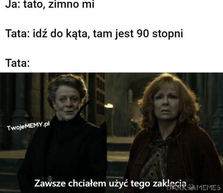 Hogwart was potrzebuje