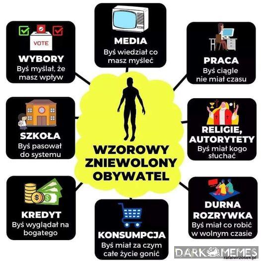 Wzorowy obywatel 