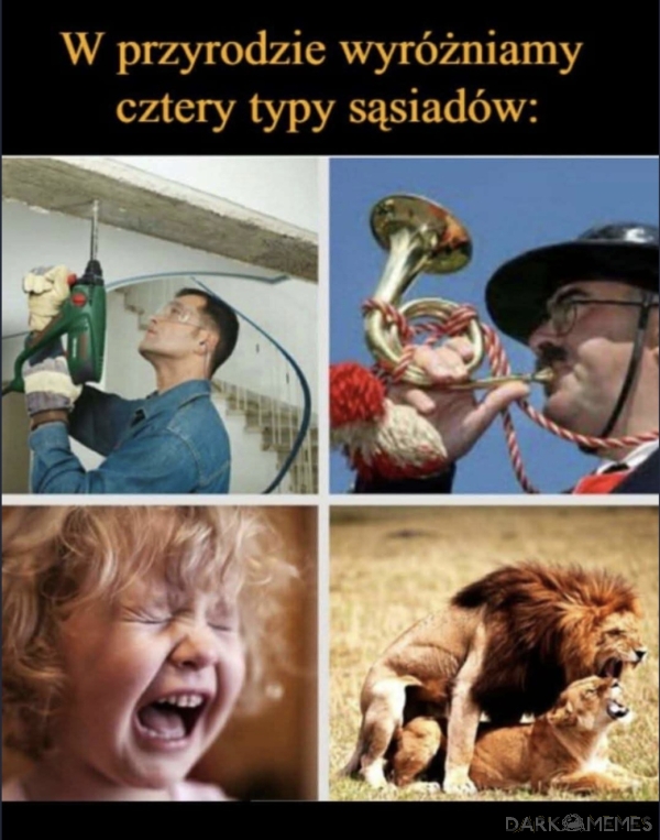Sąsiedzi