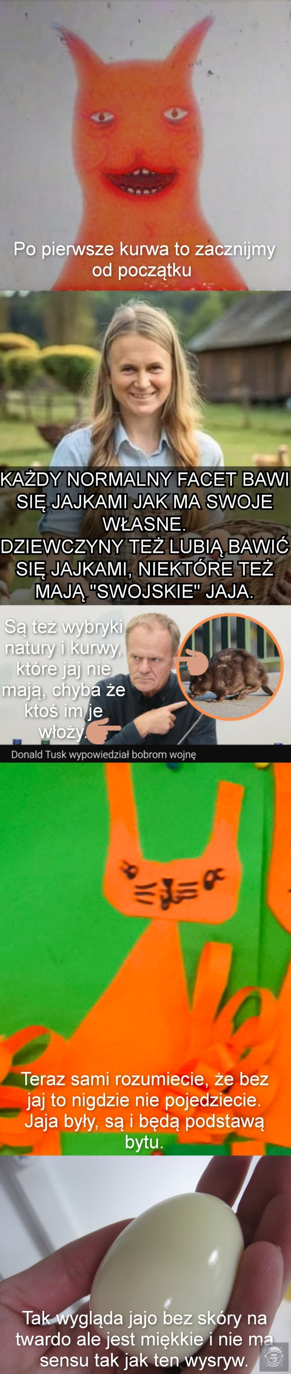 Po chuj to się starasz