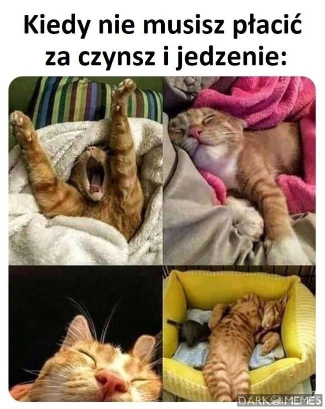 Szczęśliwy