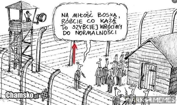 normalność 