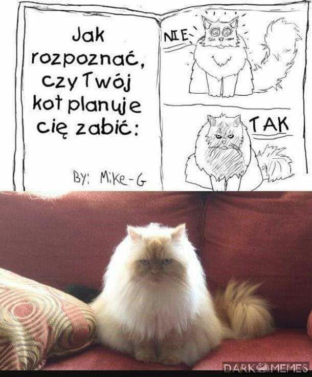 Miło było was poznać