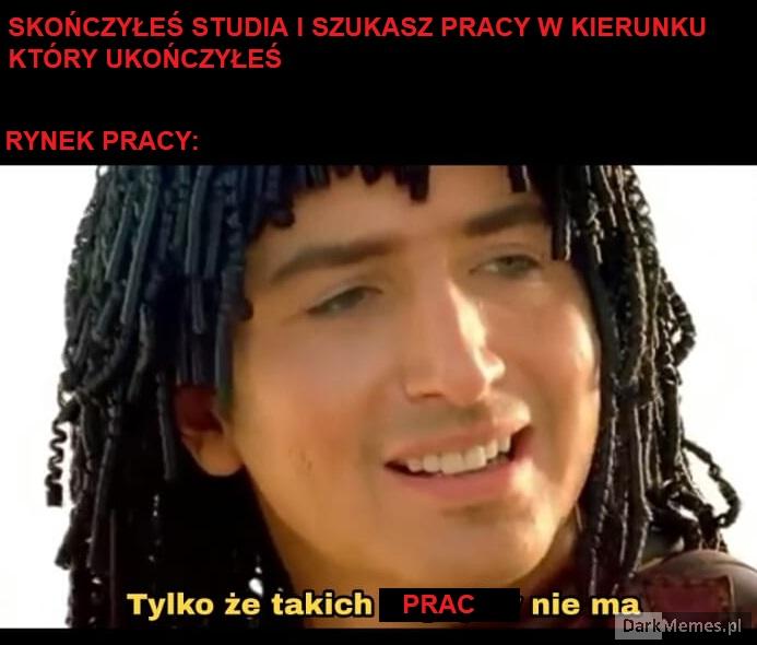 Studia 