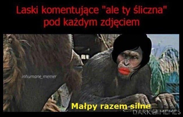 Irytują