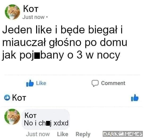Nic nowego