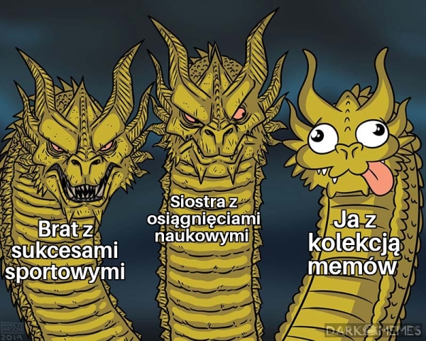 Osiągnięcia 
