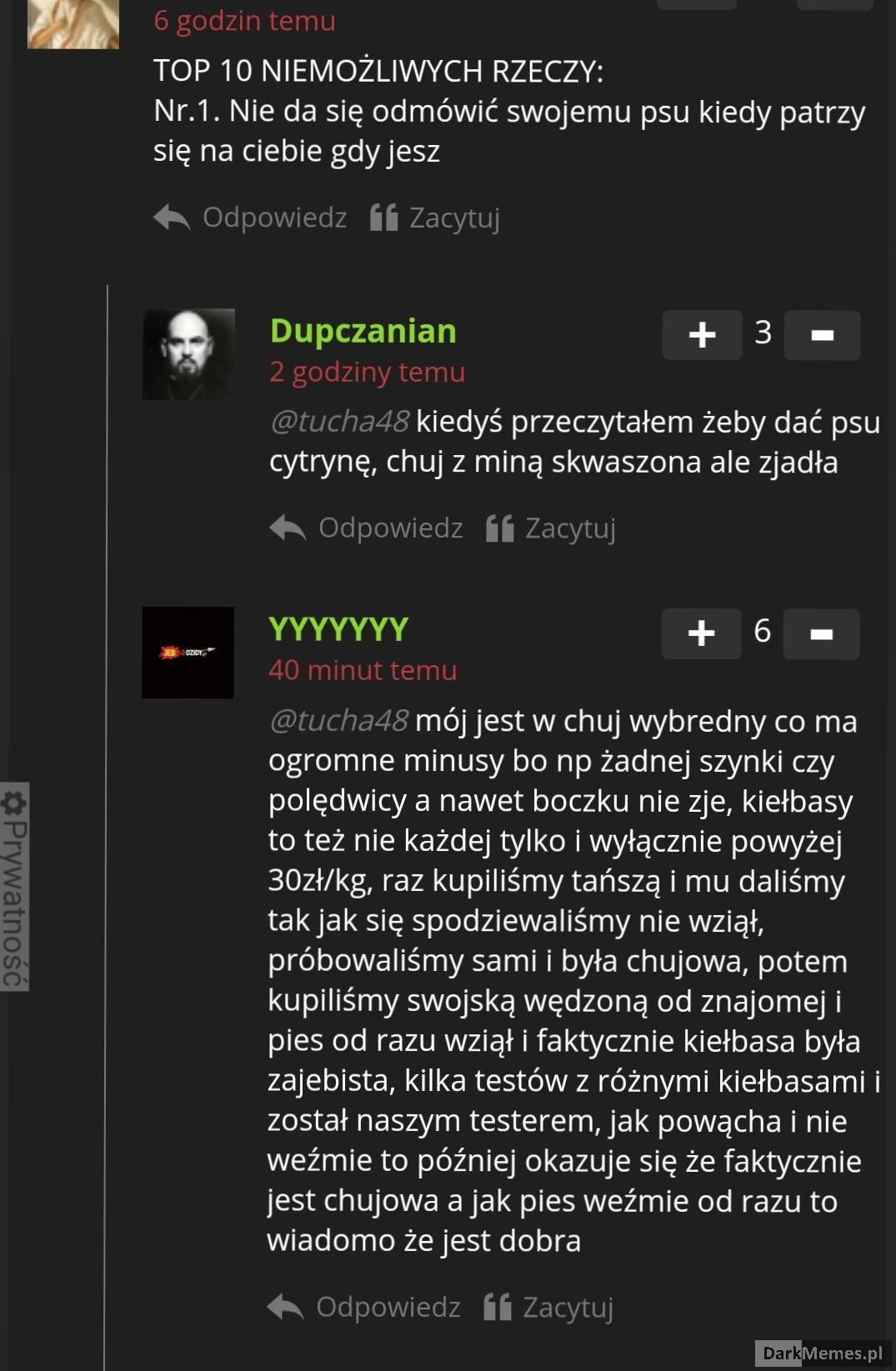 Psi detektyw 