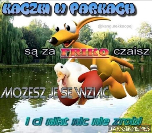 czaisz?