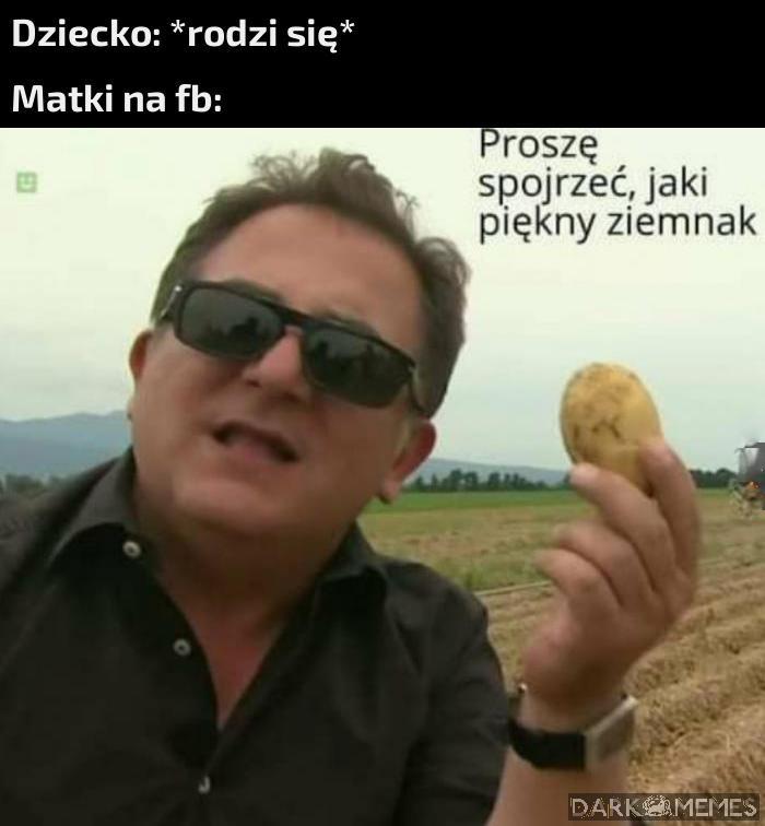 Podziwiajcie