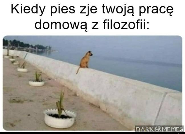 Dokąd zmierzamy?