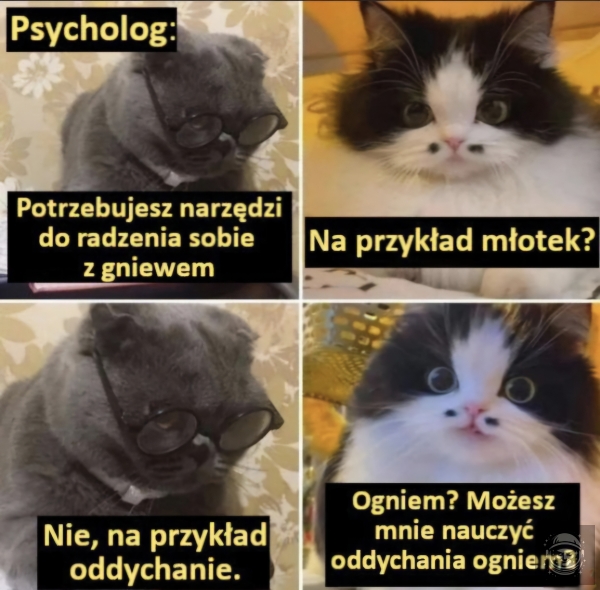 Tylko spokoj nas uratuje