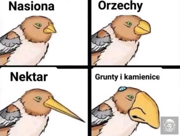 ż