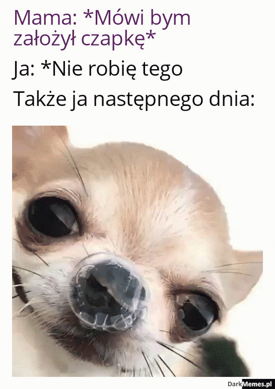 UPS