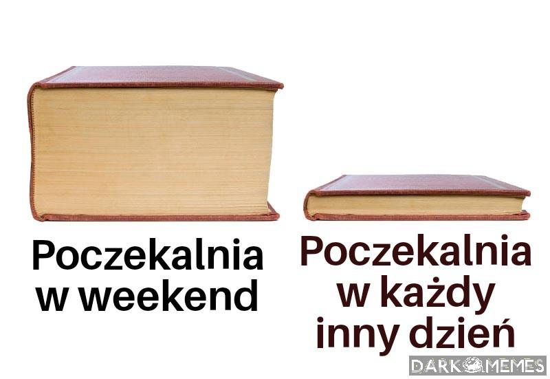 *Happy mroczek noise*