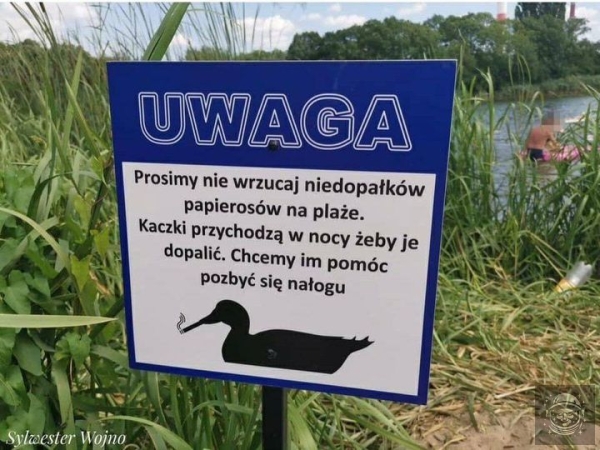 Jebane kaczki kradną moje niedopałki