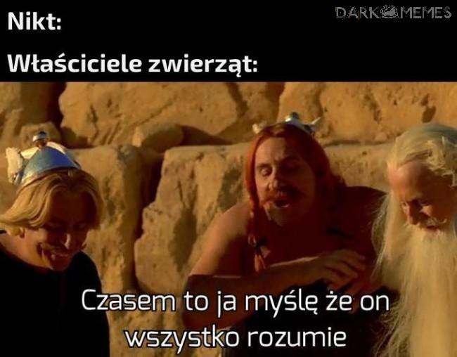 Mądrość