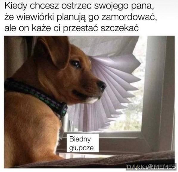 No debil