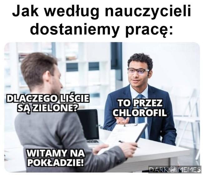 Całkiem inaczej