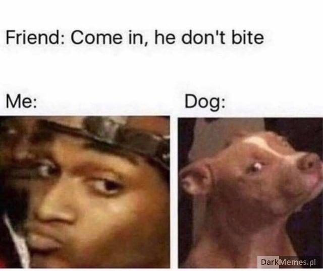 Standard