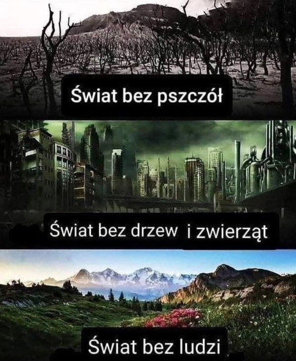 Korwin miał rację