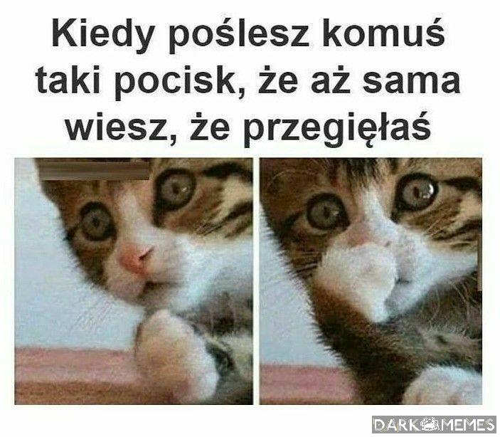 Parę razy się zdarzyło