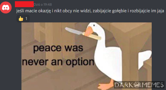 Gołąb 