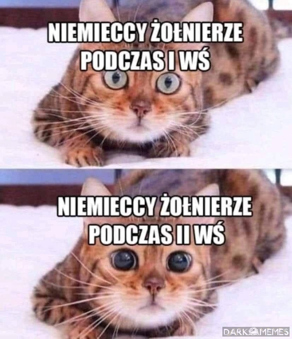 żołnierze :D