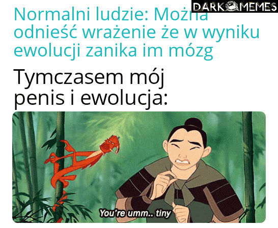 Ananasek