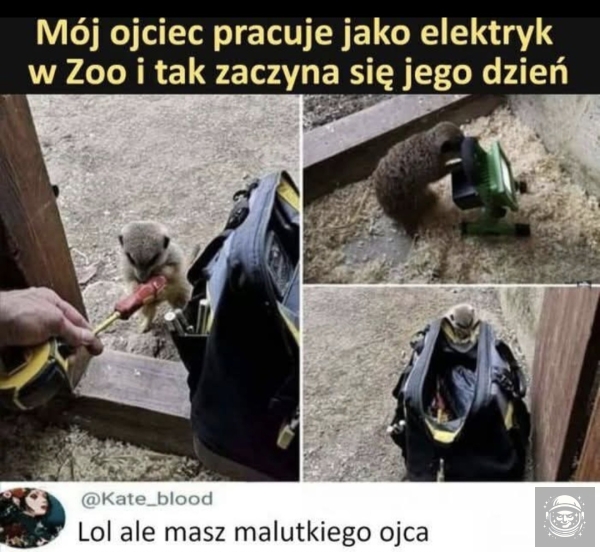 Malutki