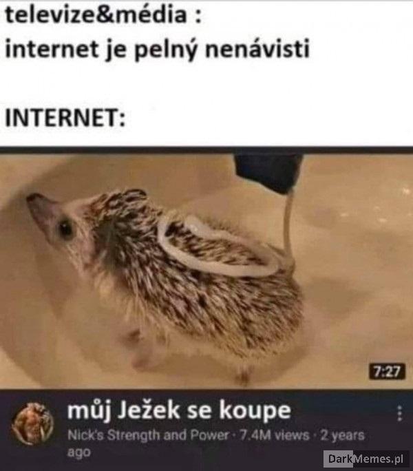 Panie Jeżyku!