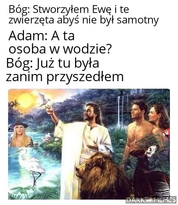 Zamrożona