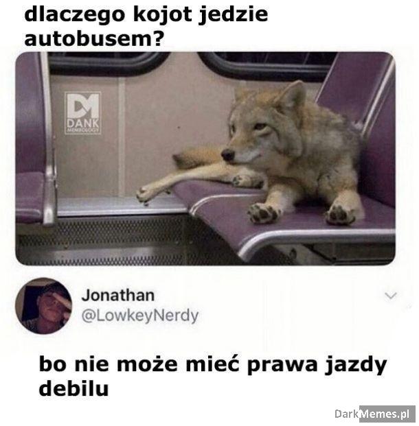 Głupie pytanie