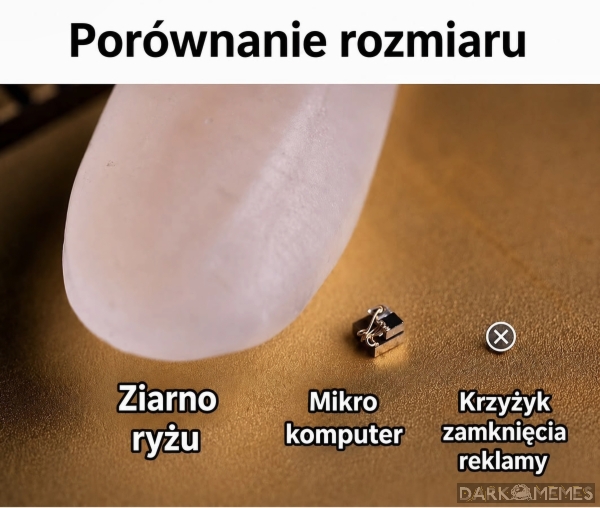 Rozmiar