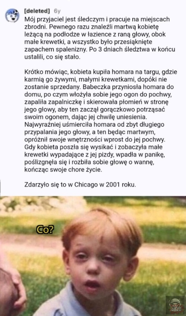 Zdążyłem zwalić