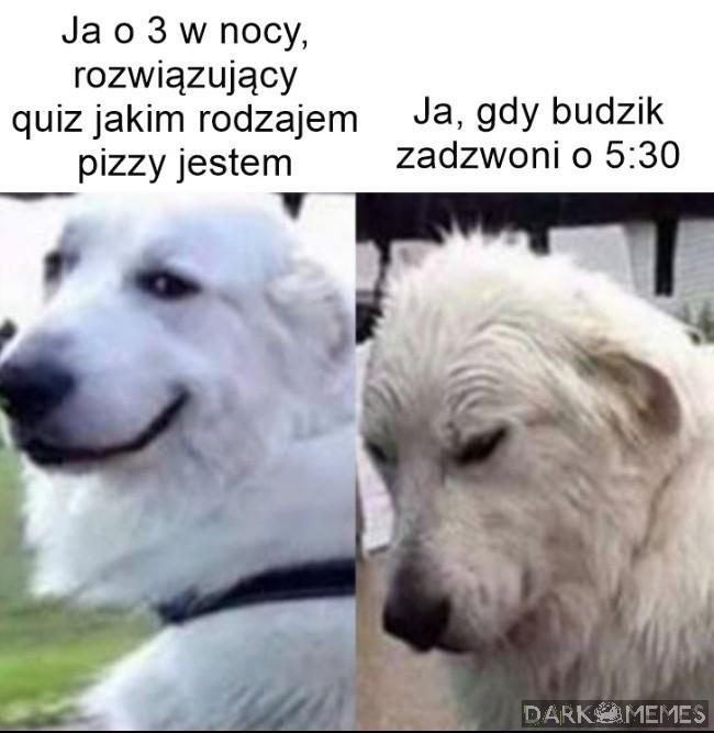 Zgadnijcie
