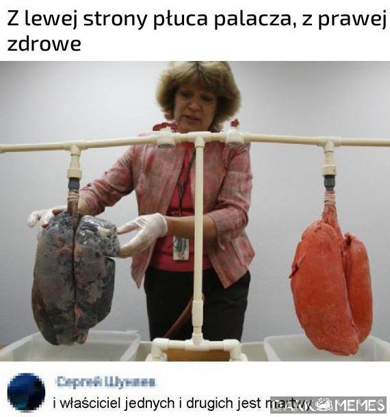 Jaki sens?