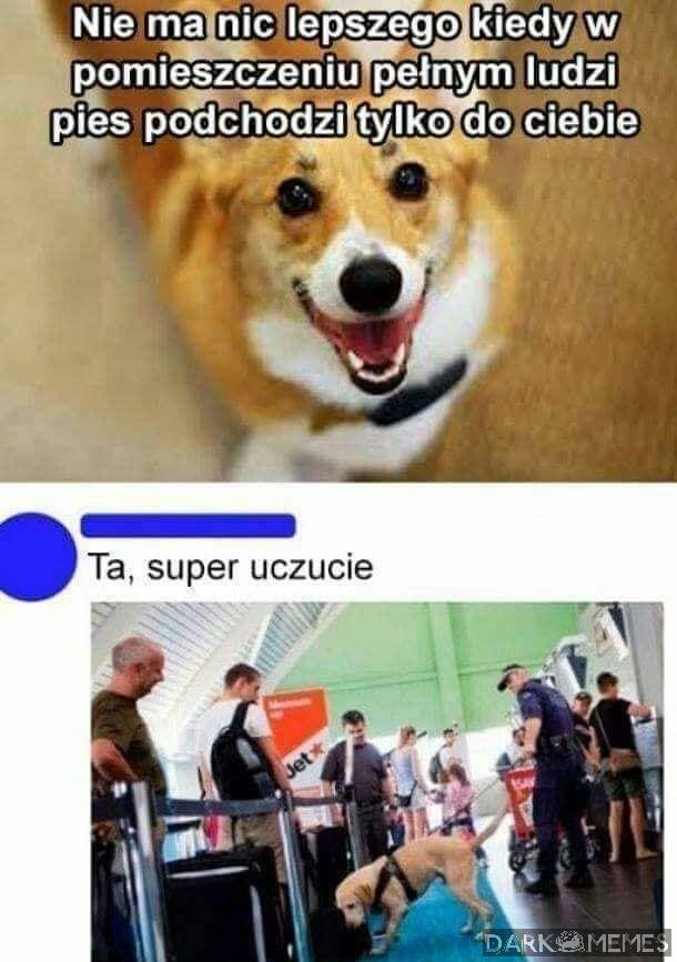 Dokumenty poproszę