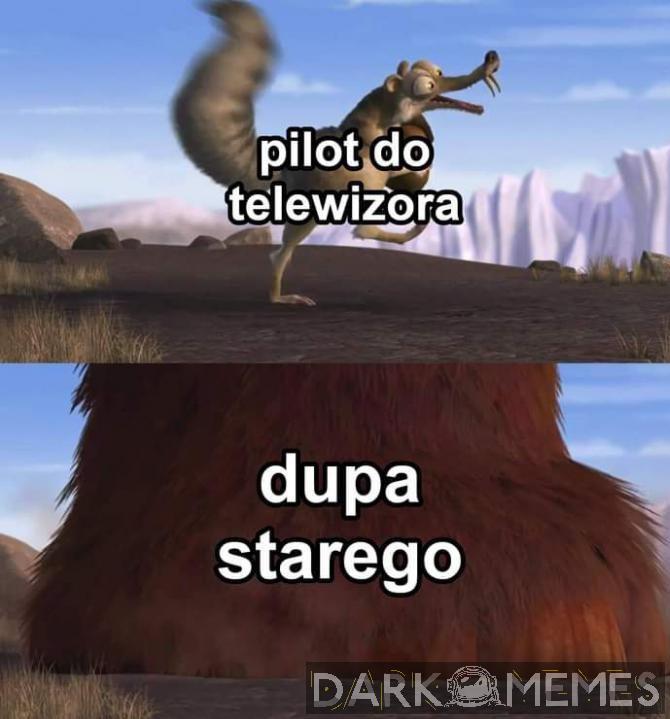 Epoka lodowcowa