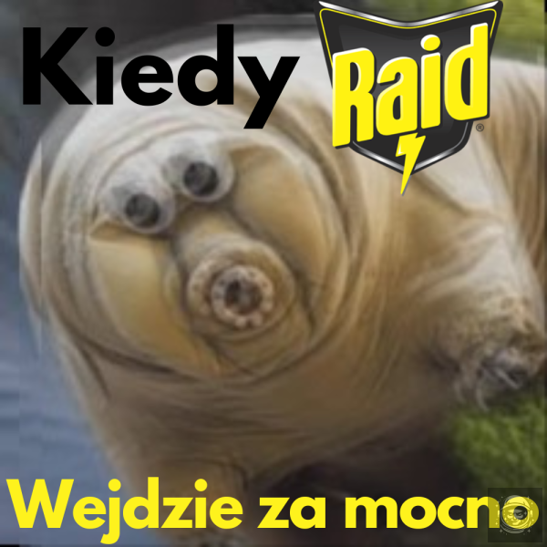 Daj sie sztachnąć