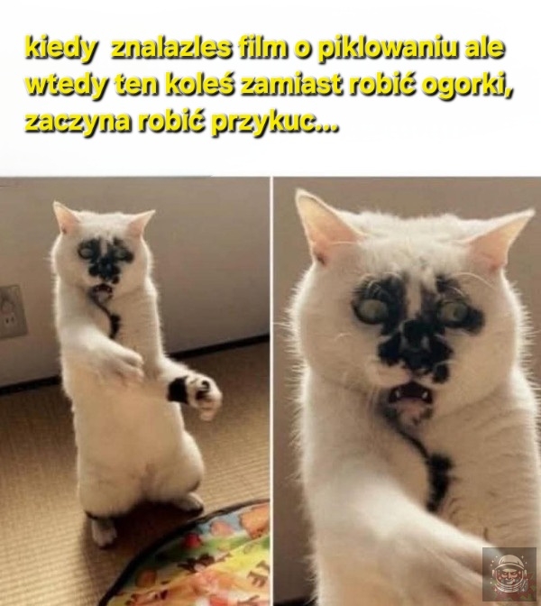 Klasyk sezonu kisz(on)kowego