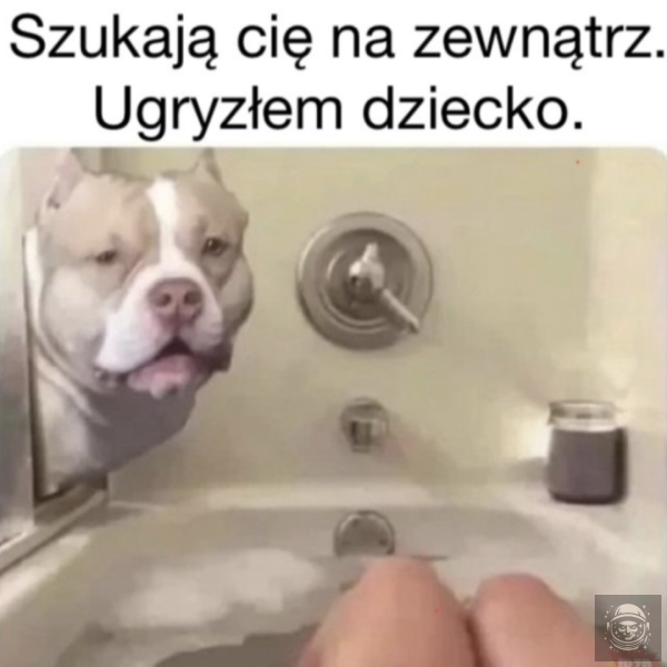 Leć 
