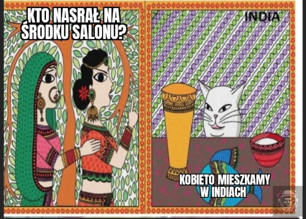 Kot o imieniu Nasrał