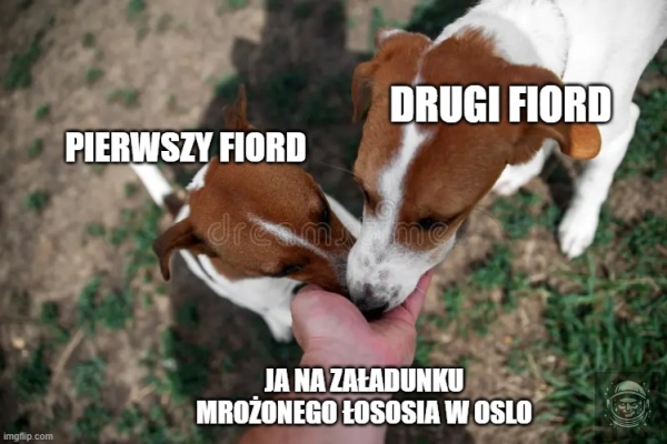 Tak, jestem trochę pijany, a co?