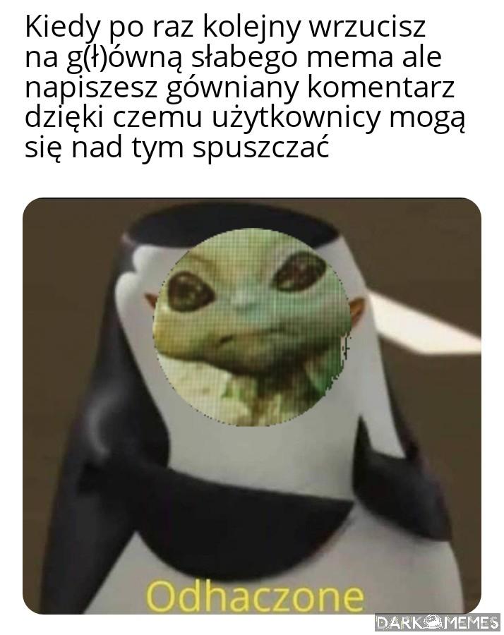 Sprawdzam reakcję