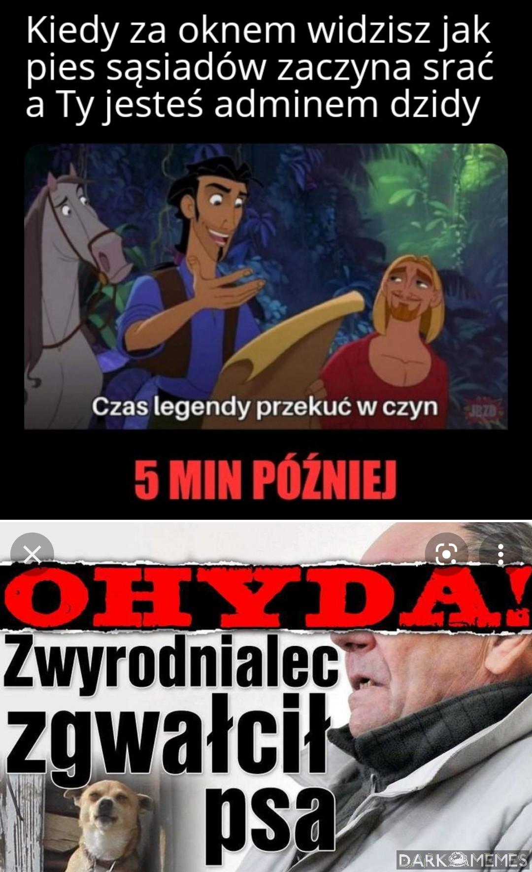 [Zdjęcia]