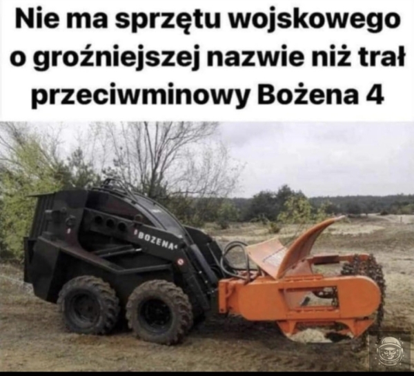 Bożena 