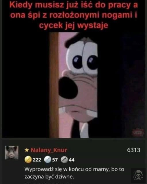 na dzidce stabilnie